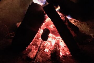 s'mores over a campfire